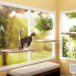 Фото Подушка наоконная для кошки на присосках Oster Sunny Seat Window Bed - 4