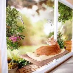 Фото Подушка наоконная для кошки на присосках Oster Sunny Seat Window Bed - 5