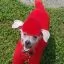 Все фото Красная краска для собак Opawz Dog Hair Dye Hot Red 150 мл - 2