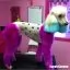 Розовая краска для собак Opawz Dog Hair Dye Adorable Pink 150 мл. - 2