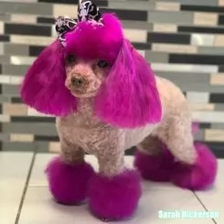 Фото Рожева фарба для собак Opawz Dog Hair Dye Adorable Pink 150 мл. - 3