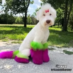 Фото Рожева фарба для собак Opawz Dog Hair Dye Adorable Pink 150 мл. - 7