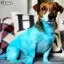 Отзывы на Голубая краска для собак Opawz Dog Hair Dye Innocent Blue 150 мл. - 6