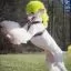 Все фото Светло-зелёная краска для собак Opawz Dog Hair Dye Tender Green 150 мл. - 3