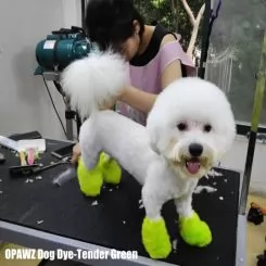 Фото Краска для шерсти Opawz Dog Hair Dye Tender Green 120 мл - 4