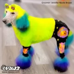 Фото Краска для шерсти Opawz Dog Hair Dye Tender Green 120 мл - 5