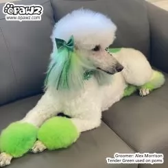 Фото Світло-зелена фарба для собак Opawz Dog Hair Dye Tender Green 150 мл. - 6