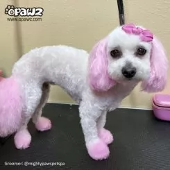 Фото Світло-рожева фарба для собак Opawz Dog Hair Dye Chram Pink 150 мл - 4