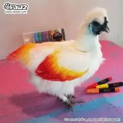 Фото Кольорові воскові фломастери для шерсті тварин Opawz Paint Pen 12 шт - 7
