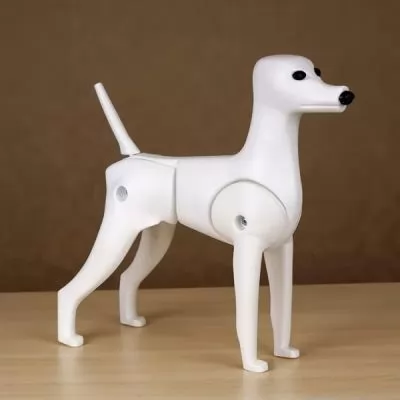 Навчальний манекен собаки Той-пудель Opawz MD-01
