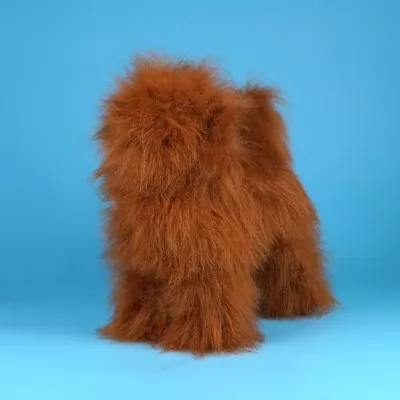 Парик для тела манекена собаки MD01 - коричневый Той-пудель