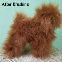 Фото Перука для тіла манекена собаки MD01 - коричневий Той-пудель - 2