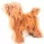 Все фото Парик для тела манекена собаки MD01 - коричневый Той-пудель - 4