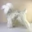 Сервіс Перука для тіла манекена собаки MD01 - білий Той-пудель - 2