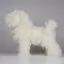 Навчальний манекен собаки Бішон Opawz BMD-01 - 6