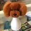 Коричневий перука для голови манекена собаки MD06 - Плюшевий Ведмідь - 3