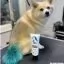Сервис Краска для собак Opawz Dog Hair Dye Aquamarine 150 мл. - 2
