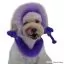 Отзывы на Краска для собак Dog Hair Dye Indigo Purple 150 мл. - 4