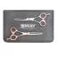 Набор парикмахерских ножниц Sway Elite 207 размер 5,5