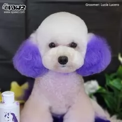 Фото Краска для шерсти Opawz Dog Hair Dye Chic Violet 117 гр. - 2