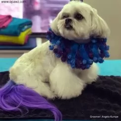 Фото Краска для шерсти Opawz Dog Hair Dye Chic Violet 117 гр. - 6