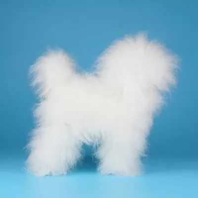 Парик для тела манекена собаки MD03 - белый Teddy Bear