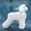Перука для тіла манекена собаки MD03 - білий Teddy Bear - 2