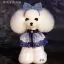 Шерсть манекена голови для Mr Jiang Teddy Head Model White