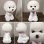 Сервис Шерсть манекена головы для Mr Jiang Teddy Head Model White - 2