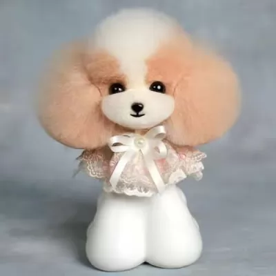 Схожі на Шерсть манекена голови для Mr Jiang Teddy Head Model Champagne And White