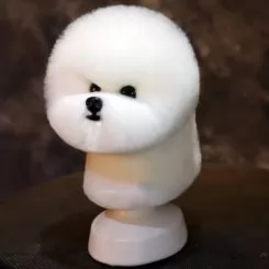 Фото Шерсть манекена голови для Mr Jiang Bichon Head White - 1