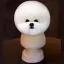 Фото Шерсть манекена голови для Mr Jiang Bichon Head White - 2