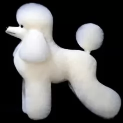 Фото Шерсть всього тіла для манекена Mr Jiang Poodle Model White - 1