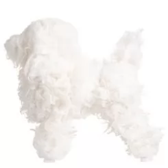 Фото Шерсть всього тіла для манекена Mr Jiang Poodle Model White - 4