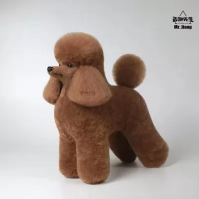 Супутні товари до Шерсть всього тіла для манекена Mr Jiang Toy Poodle Model Brown