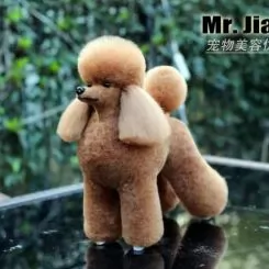 Фото Шерсть всего тела для манекена Mr Jiang Toy Poodle Model Brown - 2