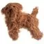 Шерсть всього тіла для манекена Mr Jiang Toy Poodle Model Brown - 5