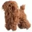 Отзывы на Шерсть всего тела для манекена Mr Jiang Toy Poodle Model Brown - 6