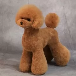 Фото Шерсть всего тела для манекена Mr Jiang Toy Poodle Model Brownish Red - 1