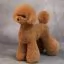 Шерсть всього тіла для манекена Mr Jiang Toy Poodle Model Brownish Red