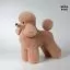 Шерсть всього тіла для манекена Mr Jiang Toy Poodle Model Champange