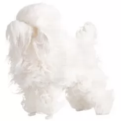 Фото Шерсть всього тіла для манекена Mr Jiang Poodle Model Extra Long White - 4