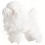 Сервис Шерсть всего тела для манекена Mr Jiang Poodle Model Extra Long White - 4