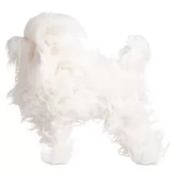 Фото Шерсть всього тіла для манекена Mr Jiang Poodle Model Extra Long White - 5