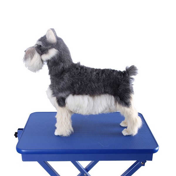Пример выставочного стола для груминга собак